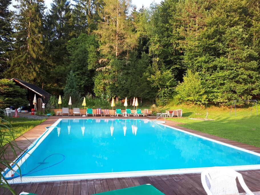 Haus Sonnenhang +Seeblick+Pool Райфниц Экстерьер фото